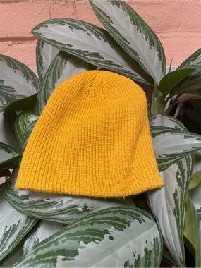 Two Pack of Beanies